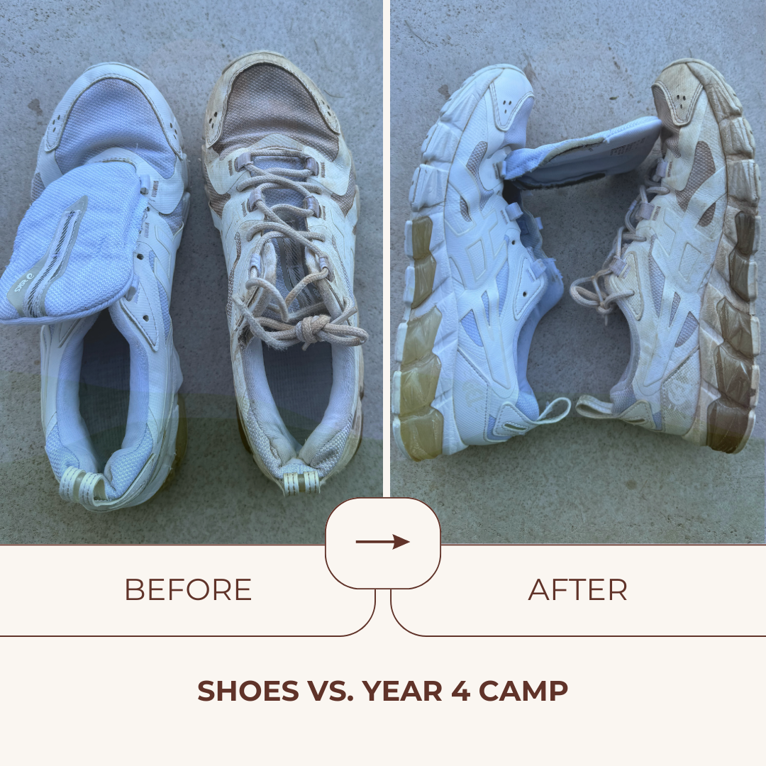 Premium Stain + Odour Remover 300ml