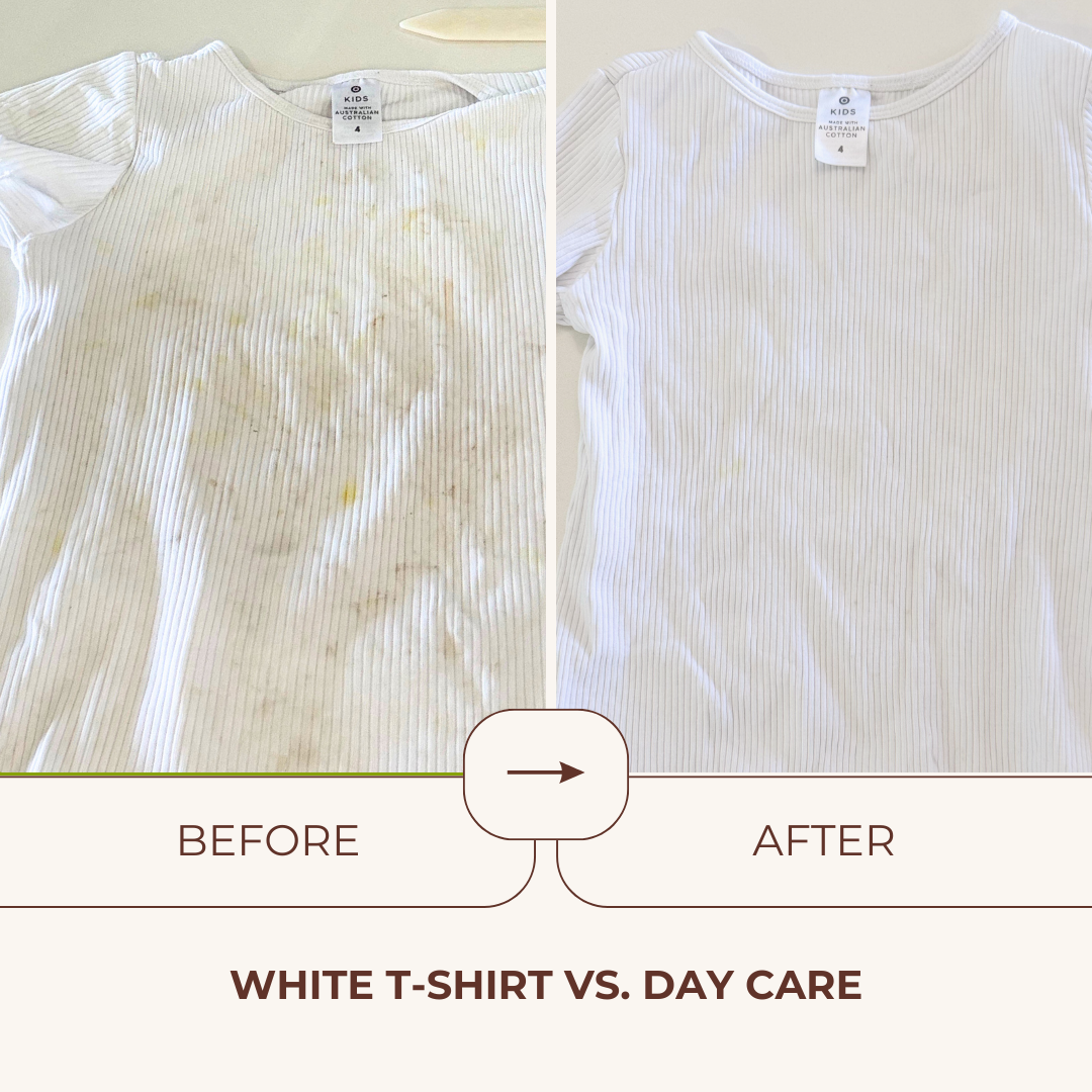 Premium Stain + Odour Remover 300ml